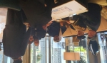IMG-20201218-WA0011.jpg