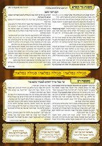 עלון מפיק מרגליות גליון 1733.jpg