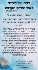 כי תצא א פג.png