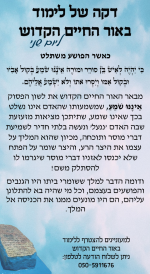 כי תצא ב פג.png