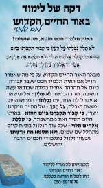 כי תצא ג פג.png