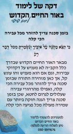 כי תצא ו פג.png
