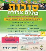 תלם.jpg