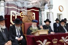הגרי-יוסף-הקבלת-פני-רבו-יזדים-10.jpg