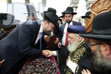 הגרי-יוסף-הקבלת-פני-רבו-יזדים-31.jpg