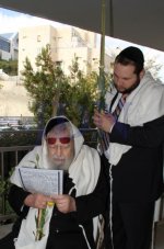 סוכות-אצל-מרן0128-11-470x711.jpg