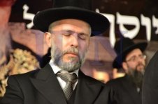 שלושים-לפטרית-הגרע-צילום-אהרן-והב-חדשות-24-11-470x313.jpg