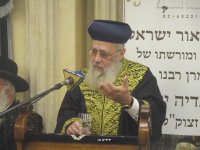 IMG_7342.JPG