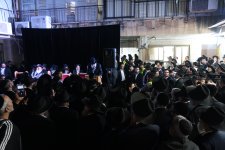 IMG_4556.JPG