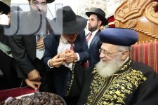 ‏‏12504-bb0b3ab7115af28bd9c53fb594471bf5 - עותק.jpg
