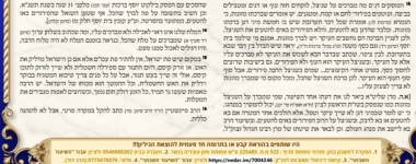שניצל ברכתו.PNG