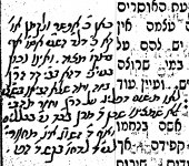 תמונה 5.jpeg