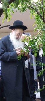 הרב מאיה.jpg