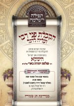 הקבלת פני רבו רבנו הינוקא.jpg