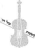 נשמת כל חי בצורת כינור.jpg