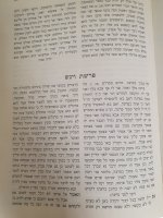 בית הלוי 1.jpg