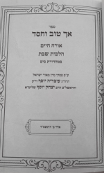 צילום מסך 2024-06-25 235315.png