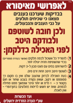 לבדוק ענבים.png