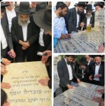 משה .jpg