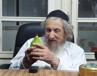 מרן הגר''ד לנדו - שמח בשמחה של מצוה.jpg