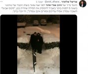 הרב אורי זוהר.jpg