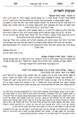 תשובה לרב שלזינגר על הבמבה - משנת יוסף.PNG