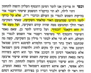גינת ורדים.JPG