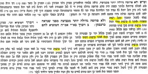 ברשות.JPG