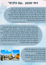 1751020937990.png