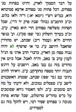 צילום מסך 2025-08-03 175718.png