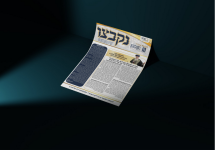 הדמיה 2 נקבצו 2.png