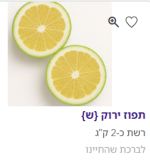 צילום מסך 2025-09-11 225810.png