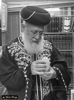 מרן ביופיו בודק אתרוג2.jpg