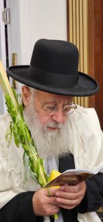 בוסקילה-9.jpeg