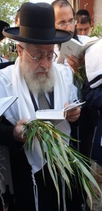 בחביטת הערבה.jpg