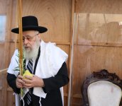 בניענוע ארבעת המינים 2.JPG