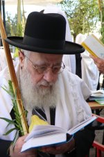 בניענוע ארבעת המינים 1.JPG