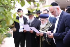 בברכת האילנות תשפ''ד.jpg