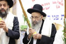 גדולי-חכמי-ספרד-בנענוע-ארבעת-המינים.-צילום-דוד-ארזני-2-1024x683.jpg