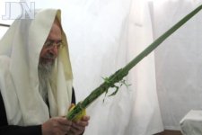 מרן-הגריח-סופר-סוכות-3.jpg מרן-הגריח-סופר-סוכות-3.jpg