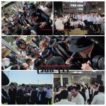 unnamed (3).jpg unnamed (3).jpg