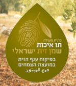 צילום מסך 2025-12-01 201940.png