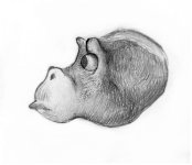 _תמונה מ-מבורך (14).jpg