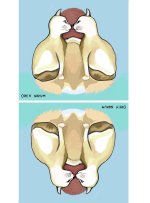 _תמונה מ-מבורך (17).jpg