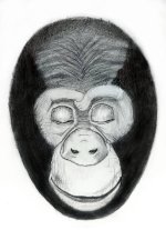 _תמונה מ-מבורך (12).jpg