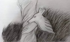 _תמונה מ-מבורך (25).jpg