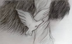 _תמונה מ-מבורך (7).jpg