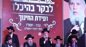 __צילום מסך_14-1-2026_1447_derech-hamelech.chatfree.app.jpeg