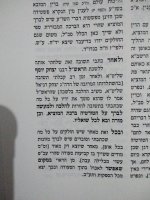 טורטיה.jpg