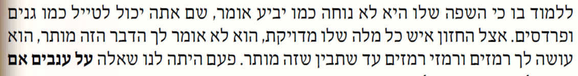 בית נאמן 342ב.PNG
